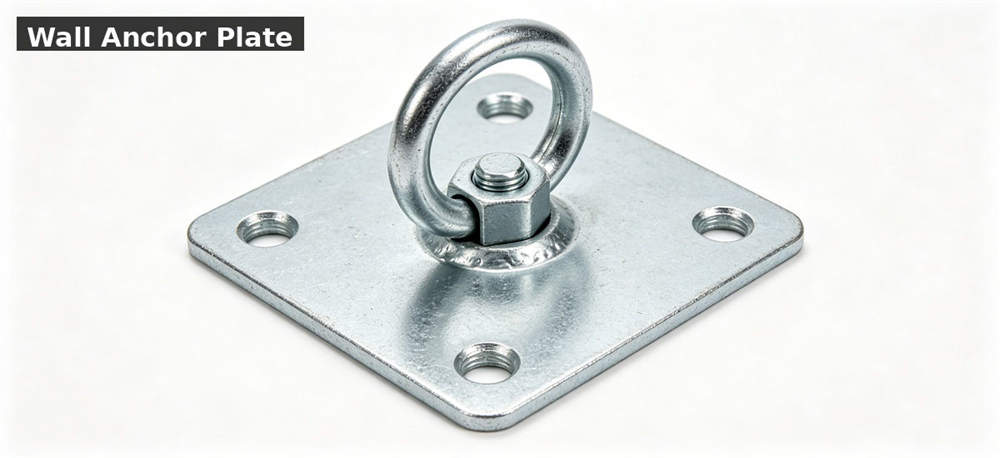Wall anchor plate shown for emergency descent system installation for government stockpile, institutional supply and emergency